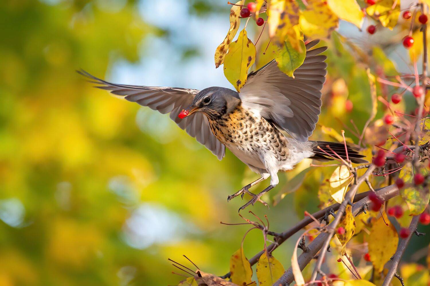 , Калинин Михаил