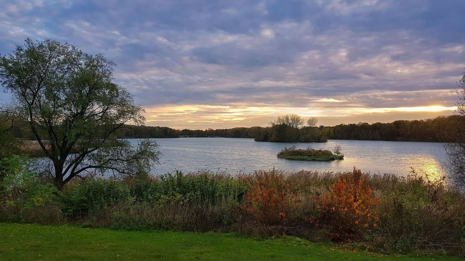 , Игорь Дубровский