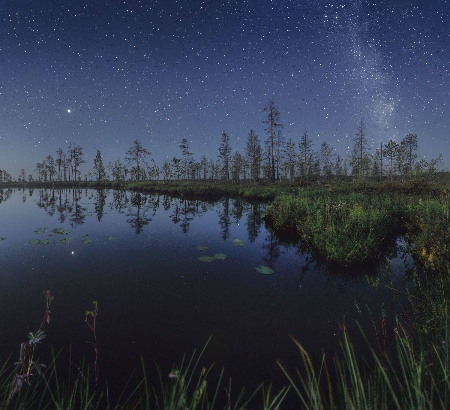 пейзаж, ночь, звёзды, landscape, nightscape, stars, болото, озеро, сосны, pines, Иван Чаланов