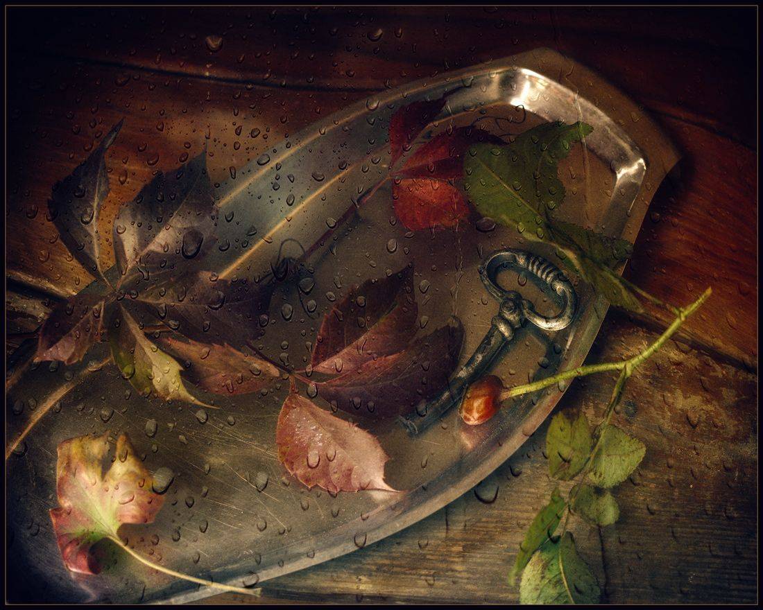 , Хромеев Александр