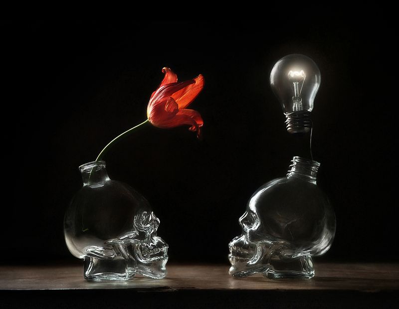 Правильный контакт фото превью