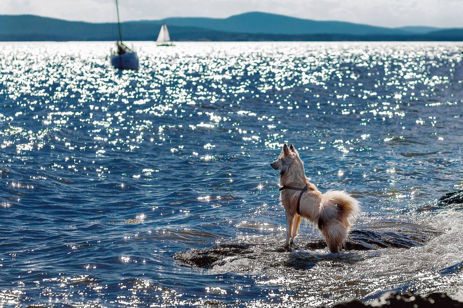 кандалакша, Alexey Pokrovskiy