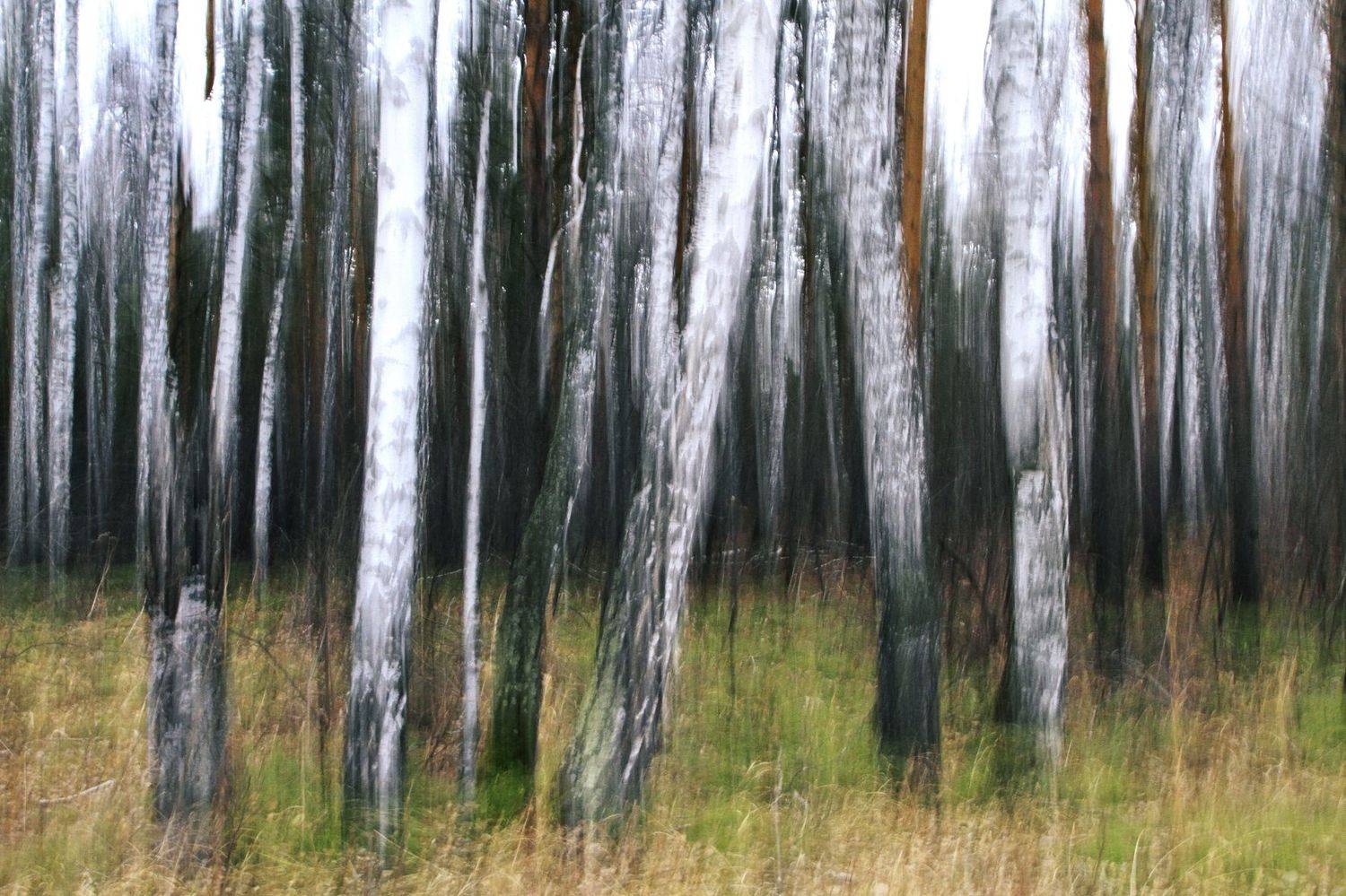 , Гагик Мхитарян