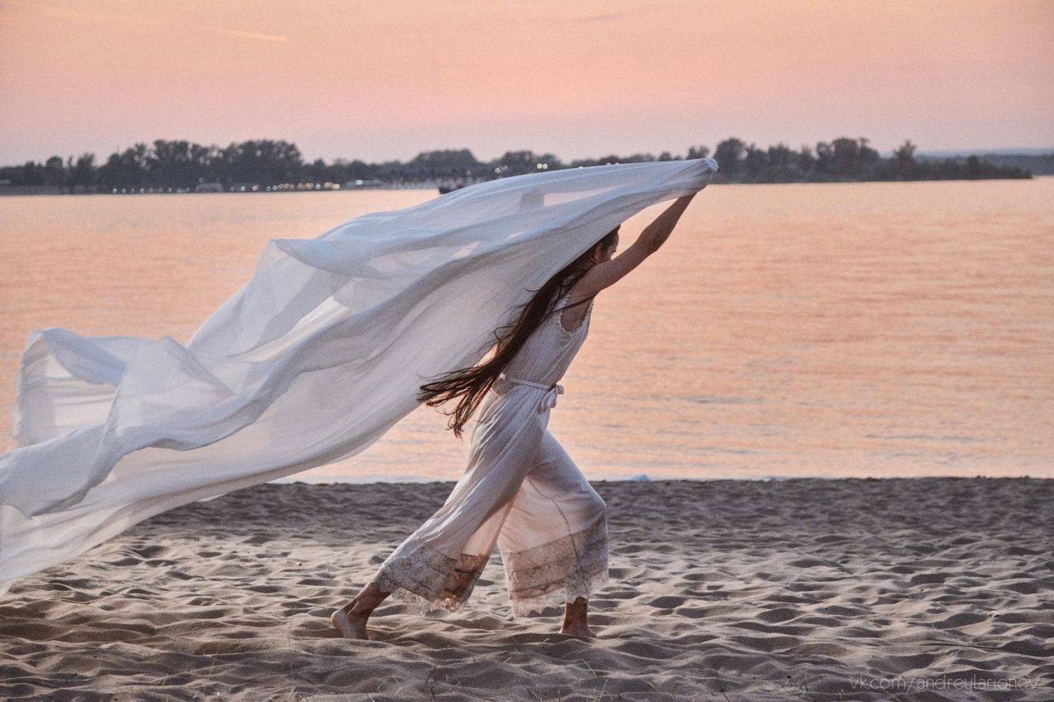 , Андрей Ларионов