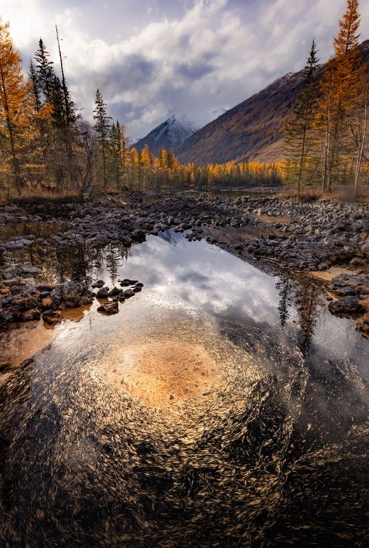 Галактика Шарза фото превью