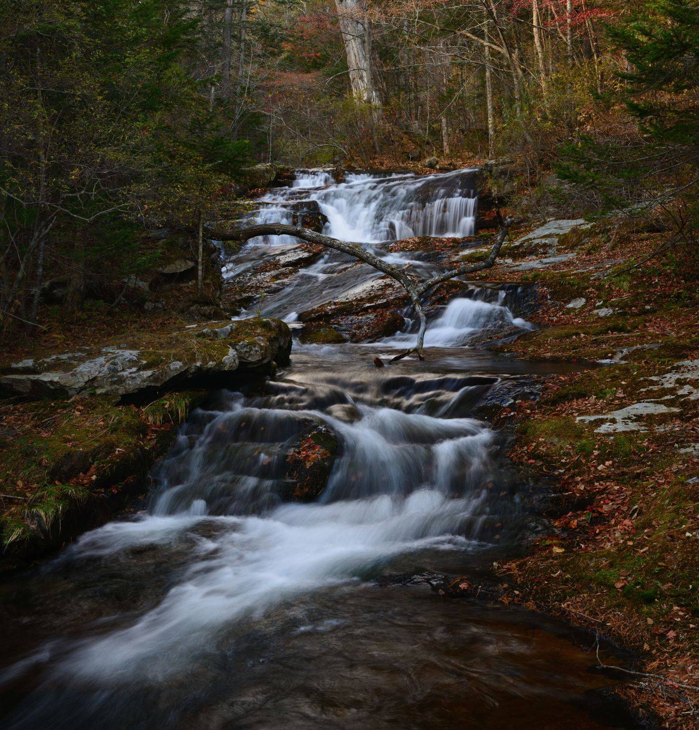 , Едуш Сергей