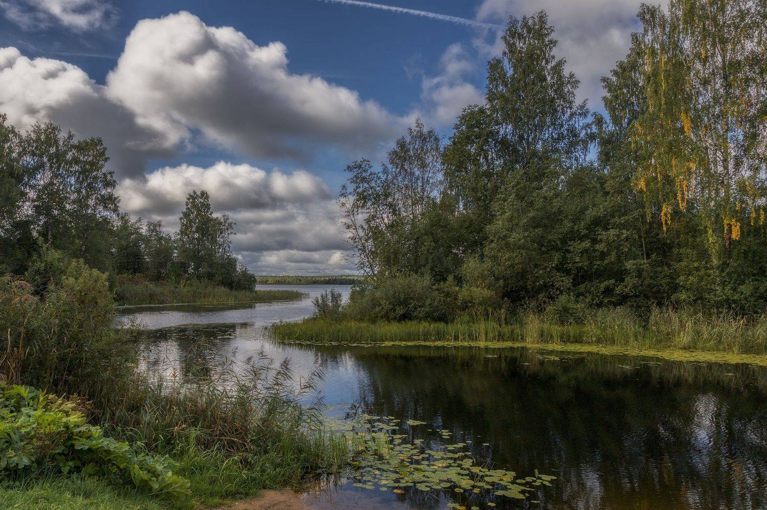 Тверская область, Гусева Елена