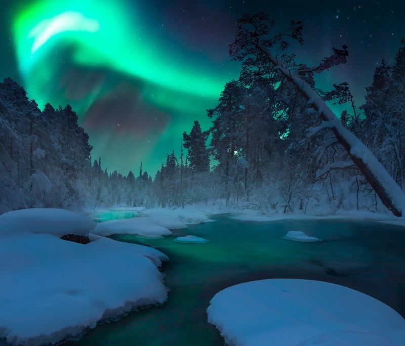 кольский полуостров,кольский,зима,winter,snow,kola peninsula,forest,aurora borealis In the night фото превью