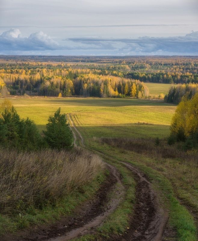 Дорога в золотую осень фото превью