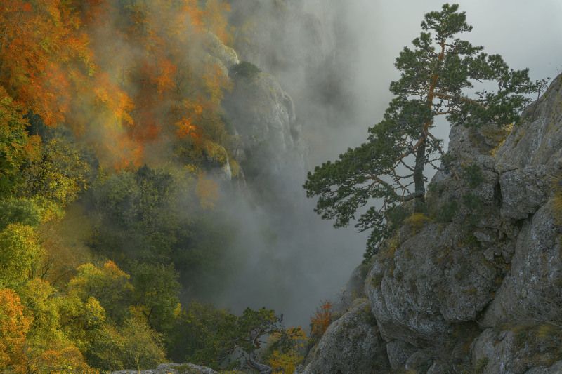 Стена Демерджи. фото превью