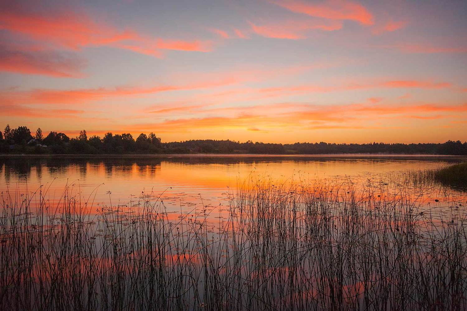, Напалкин Станислав