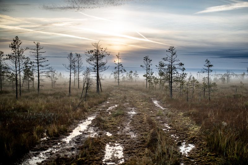 Новая дорога фото превью
