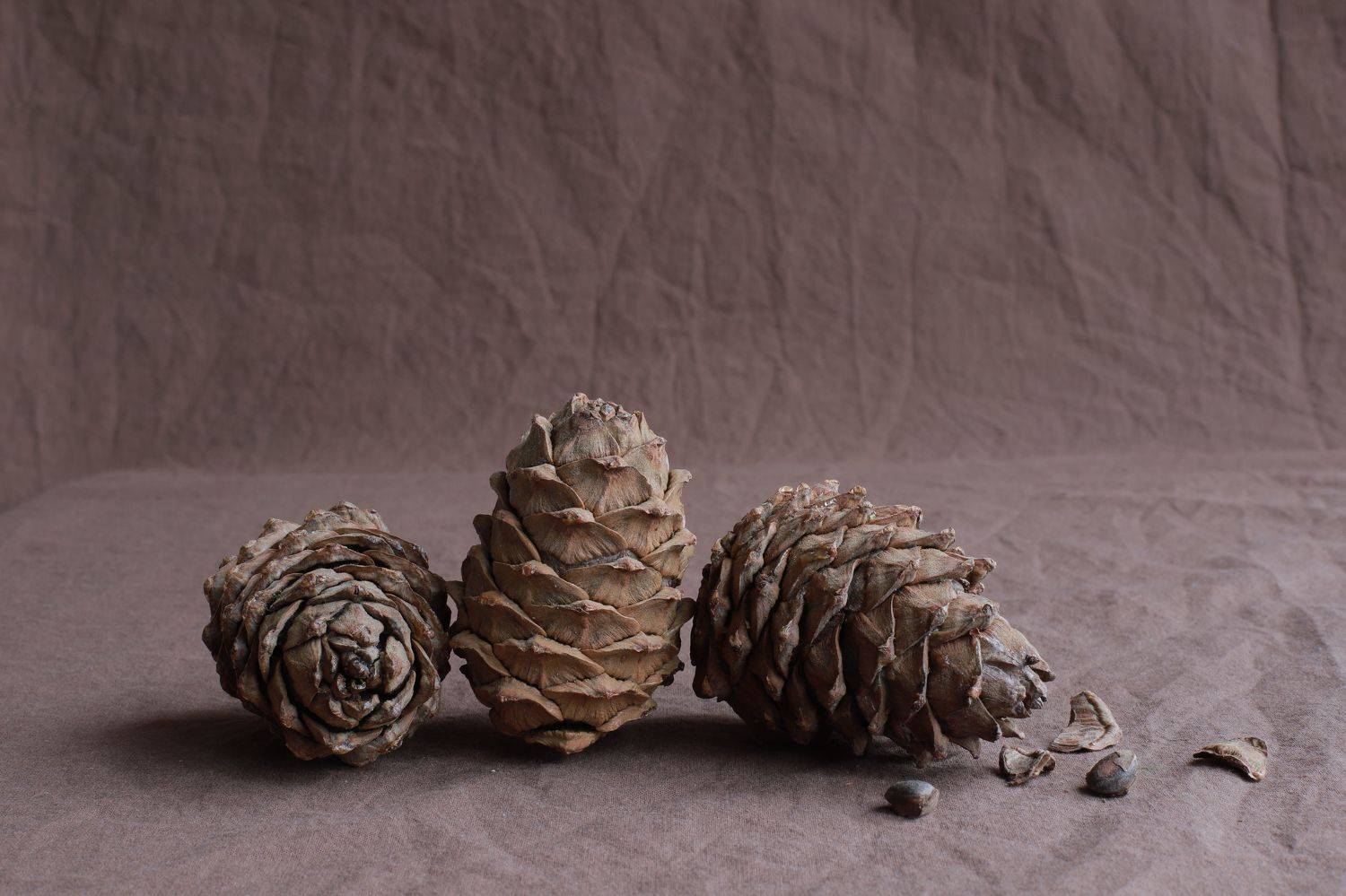 , Соколова Ирина