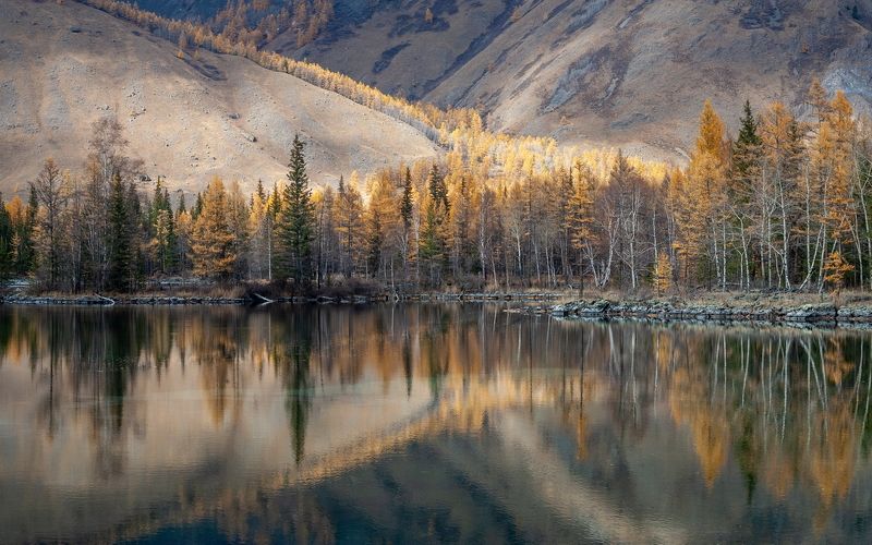 Рефлексия фото превью