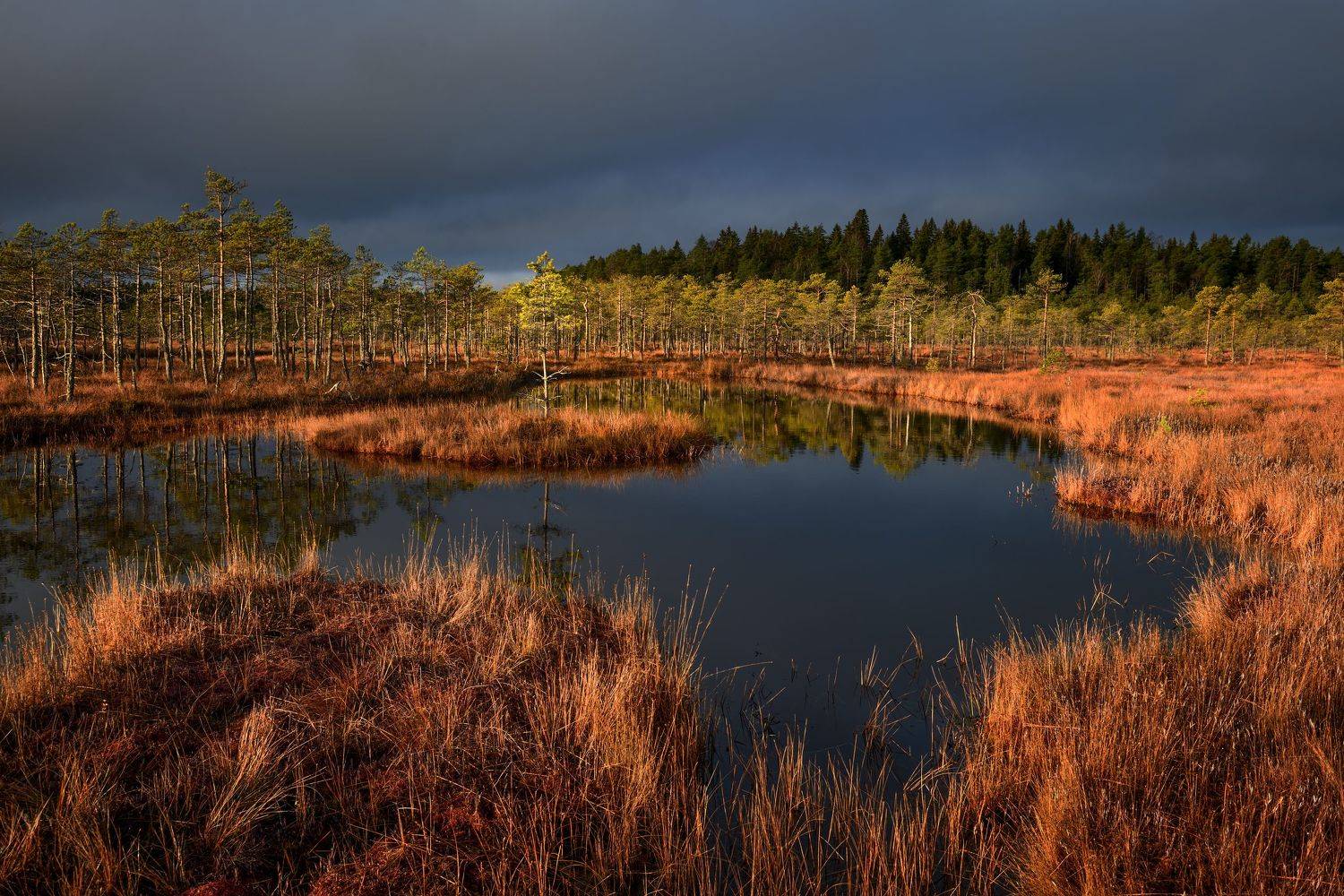 , Максим Евдокимов (phototourtravel.ru)