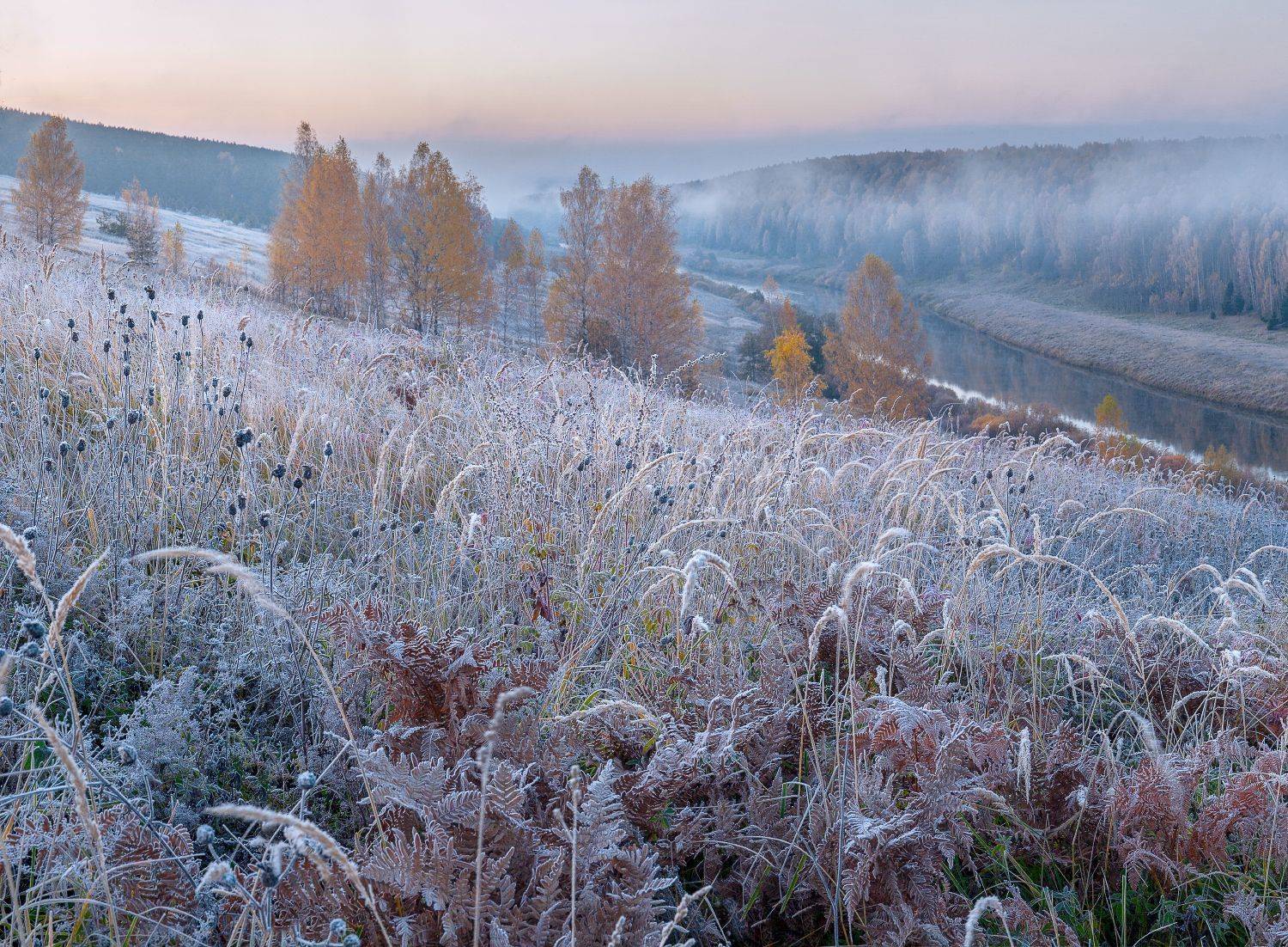 утро река мороз иней осень березы, Сергей Буторин