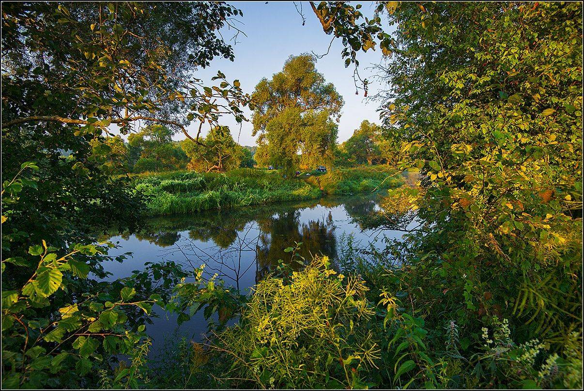 калужская обл. р. протва, утро, АНАТОЛИЙ ДОВЫДЕНКО