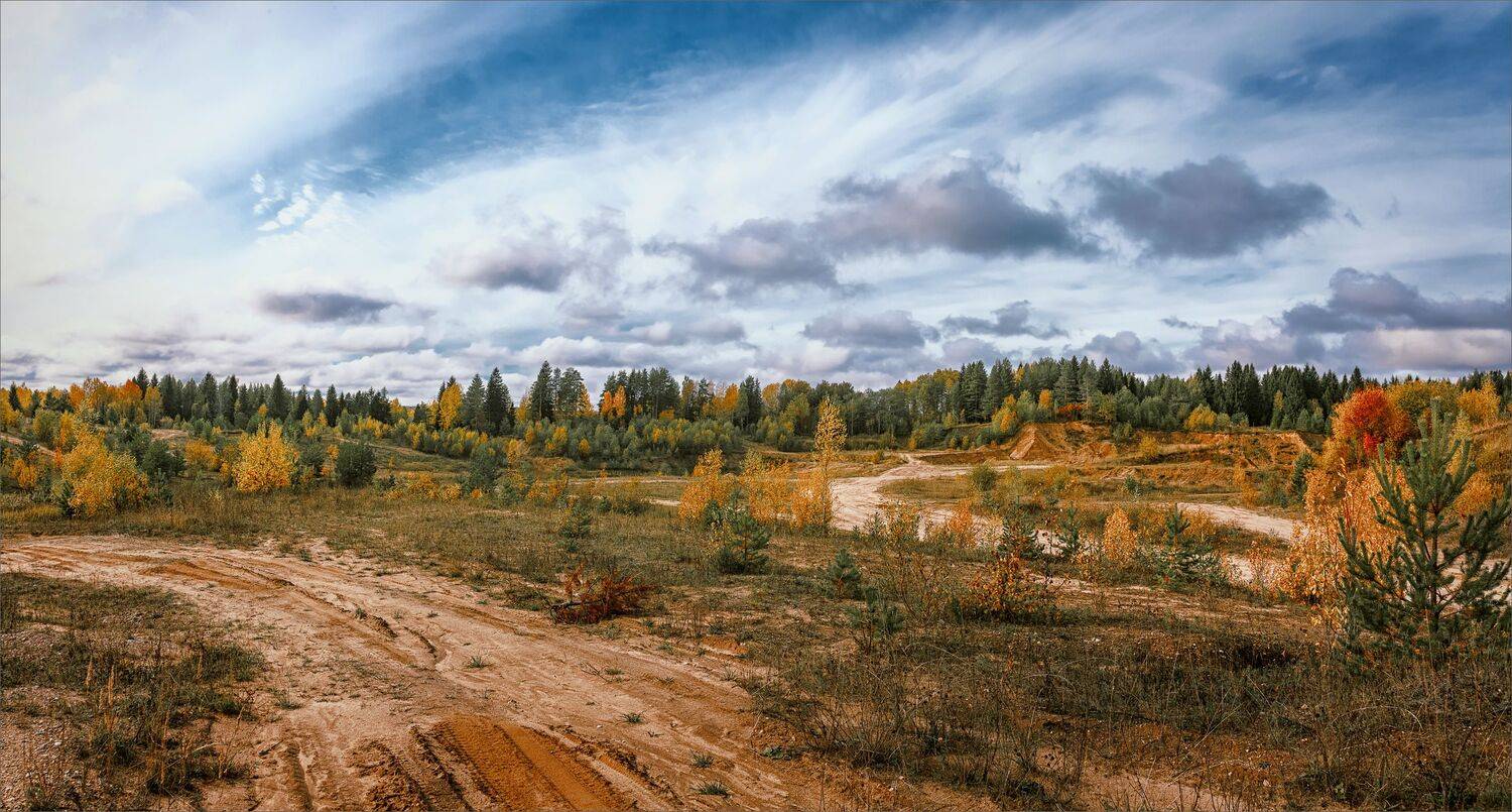 пейзаж, осень, дорога, деревья, небо, облака, цвет, свет, александр никитинский, Никитинский Александр
