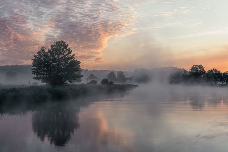 Mglisty poranek фото превью
