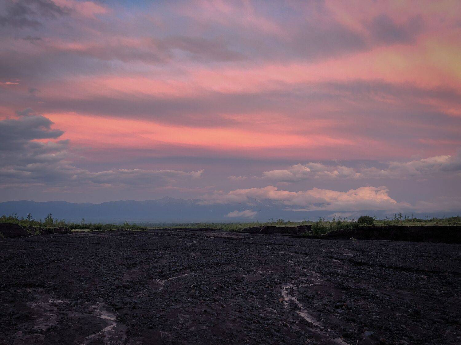 , Бравичева Анастасия