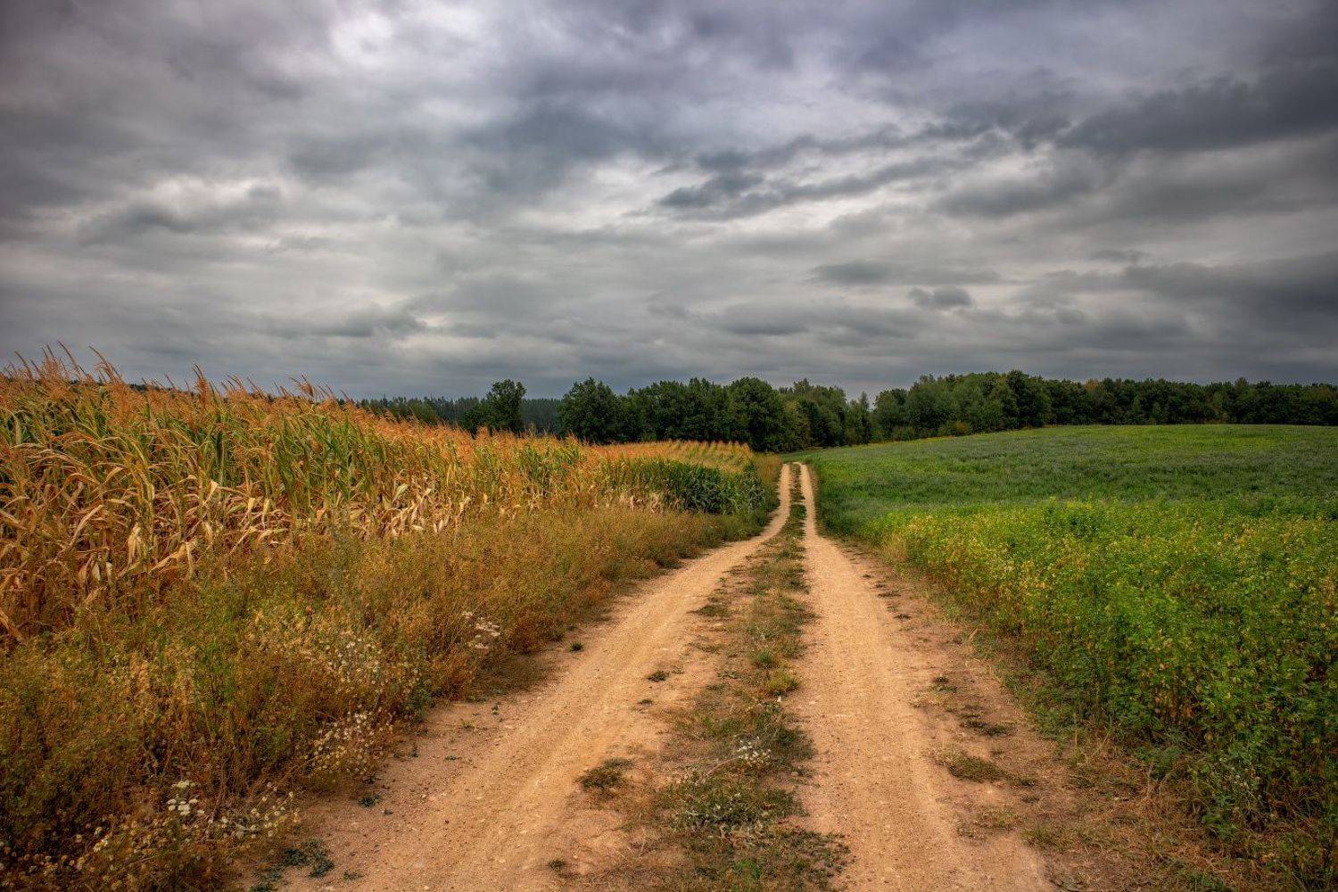 , Сергей Шабуневич