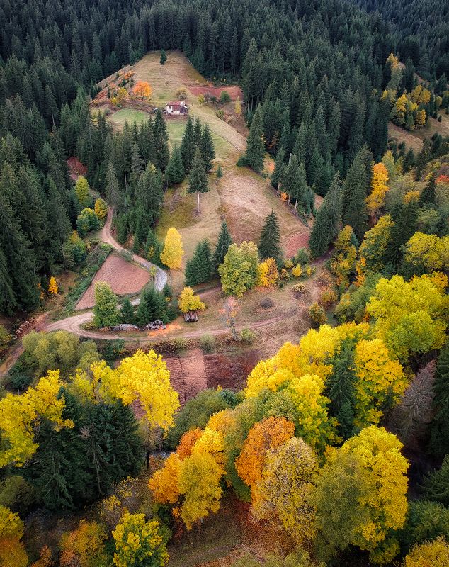 Floors of autumn фото превью