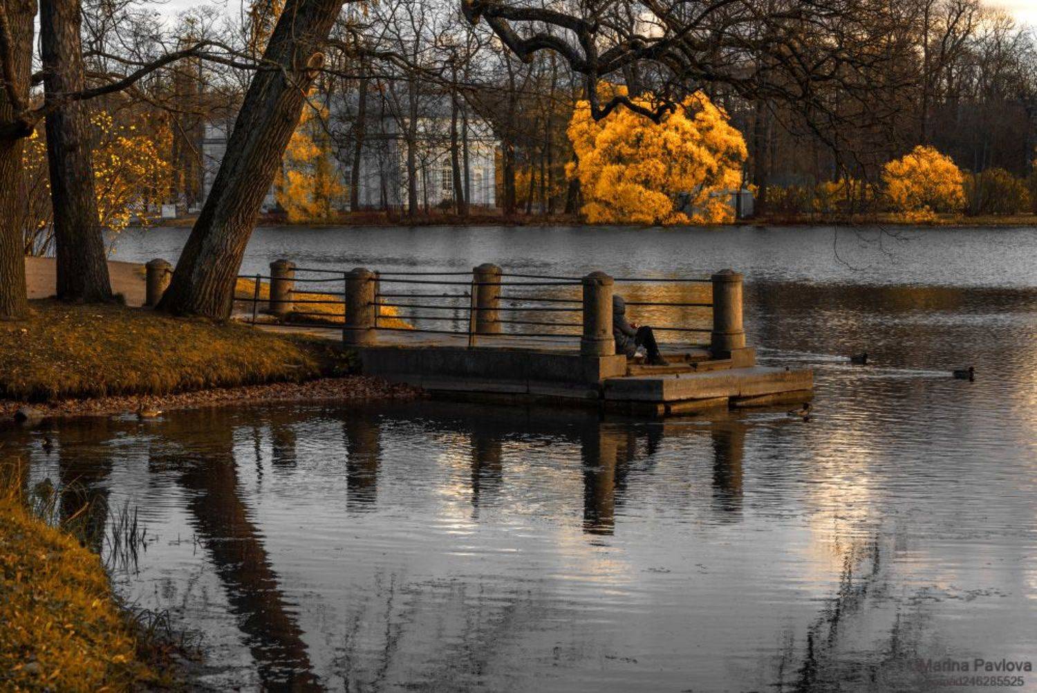 город, архитектура,город пушкин, екатерининский парк, царское село, большой пруд, пригороды санкт-петербурга, осенний пейзаж, золотая осень, созерцание, nikon, Павлова Марина