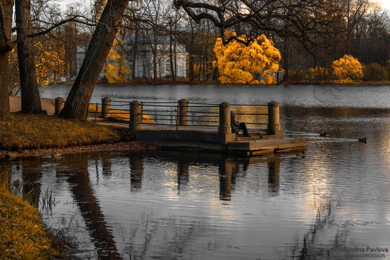 город, архитектура,город пушкин, екатерининский парк, царское село, большой пруд, пригороды санкт-петербурга, осенний пейзаж, золотая осень, созерцание, nikon Осеннее одиночество... Прощание с золотой осенью фото превью