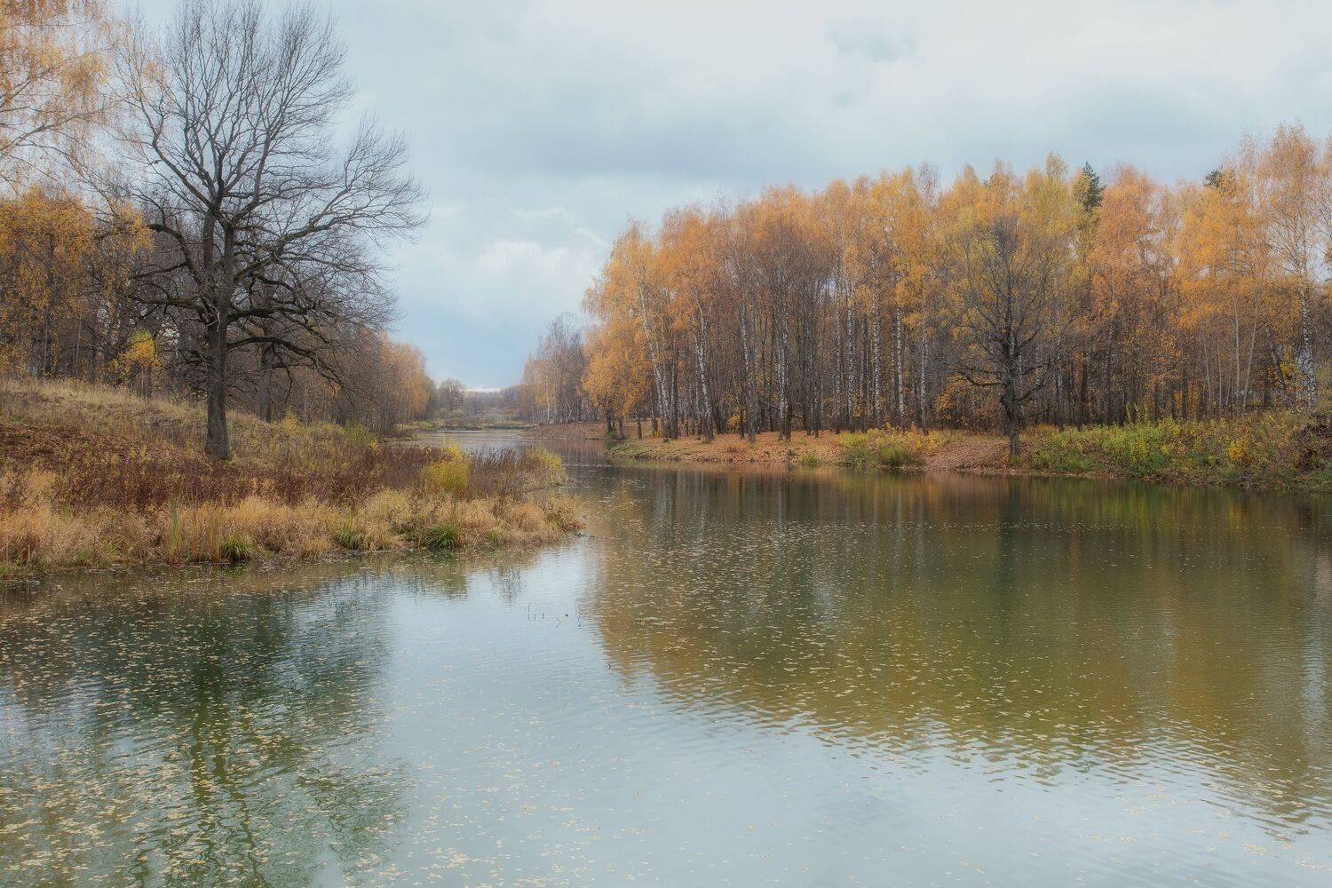 пейзаж, осень, река, природа, Мартыненко Дмитрий