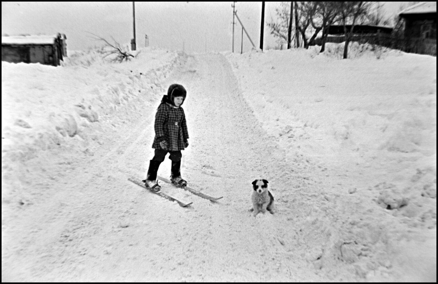 , Меднов Влад