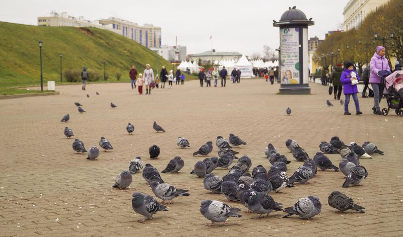 Маленькое путешествие в город Дмитров фото превью