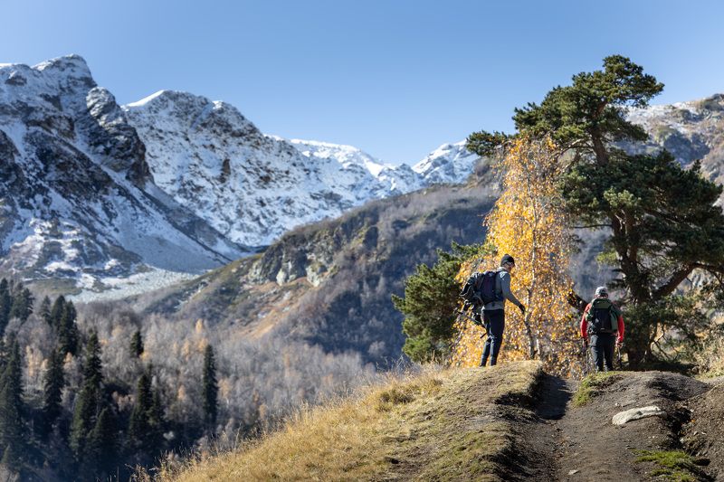 Дорогу осилит и идущий фото превью