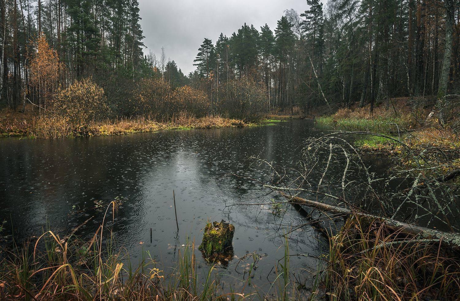 , Игорь Кляхин