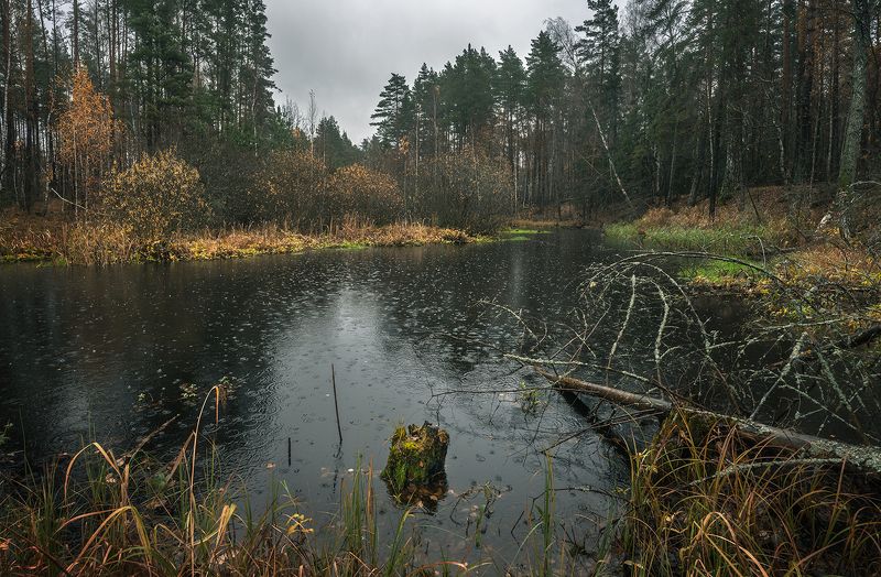 Осенний дождь фото превью