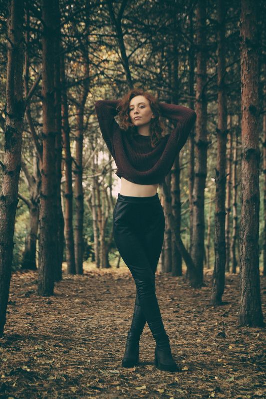 Forest фото превью