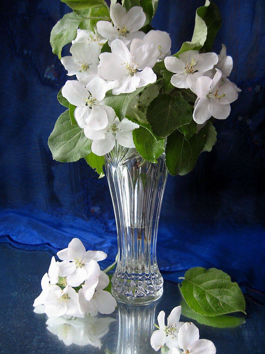 цветы, букет, яблоня, ваза, хрусталь, Наталия Тихомирова