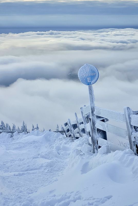 Сектор Е фото превью