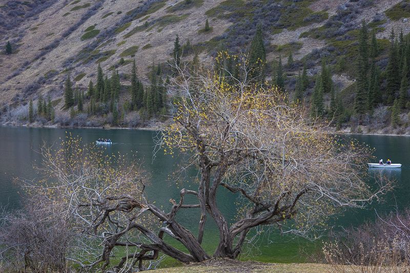 Озеро Койсалы. Казахстан фото превью