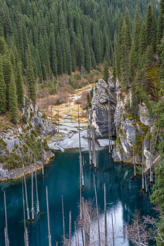 Озеро Каинды. Казахстан фото превью