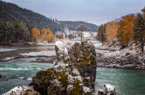 В гордом одиночестве...