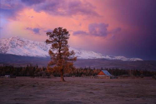 Перед рассветом