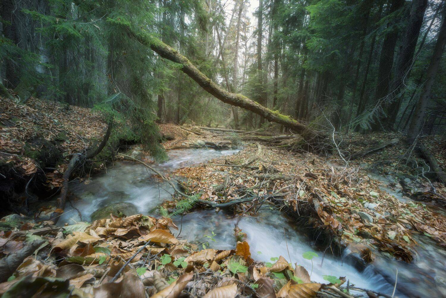 , Alexander Ornatskiy