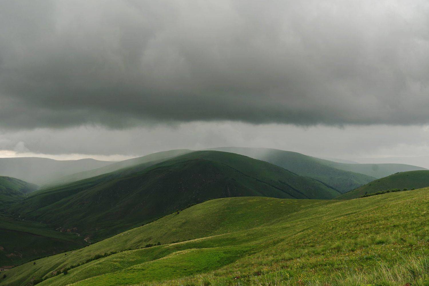 , Ольга Беккер