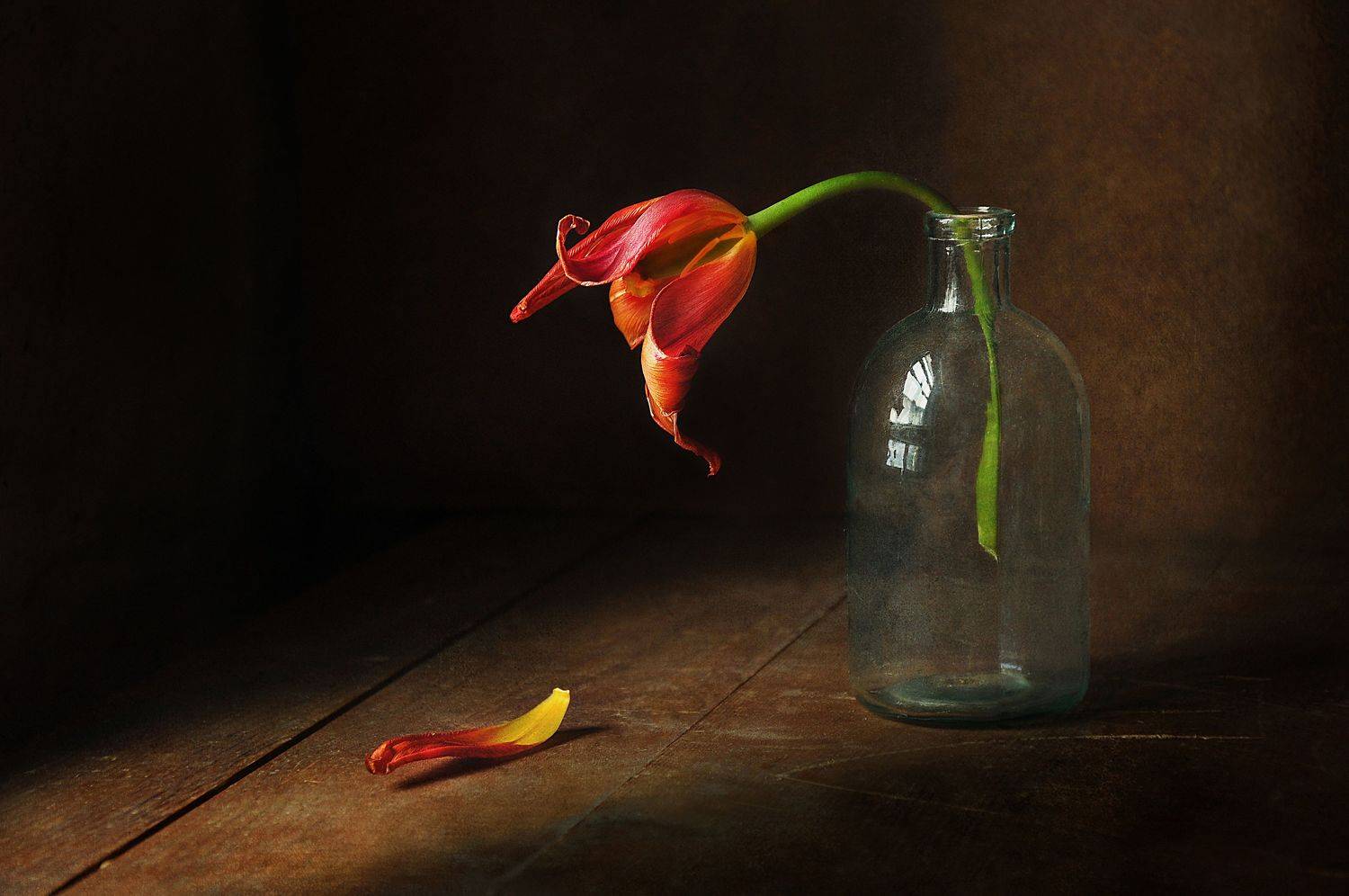 , Буглак Инна