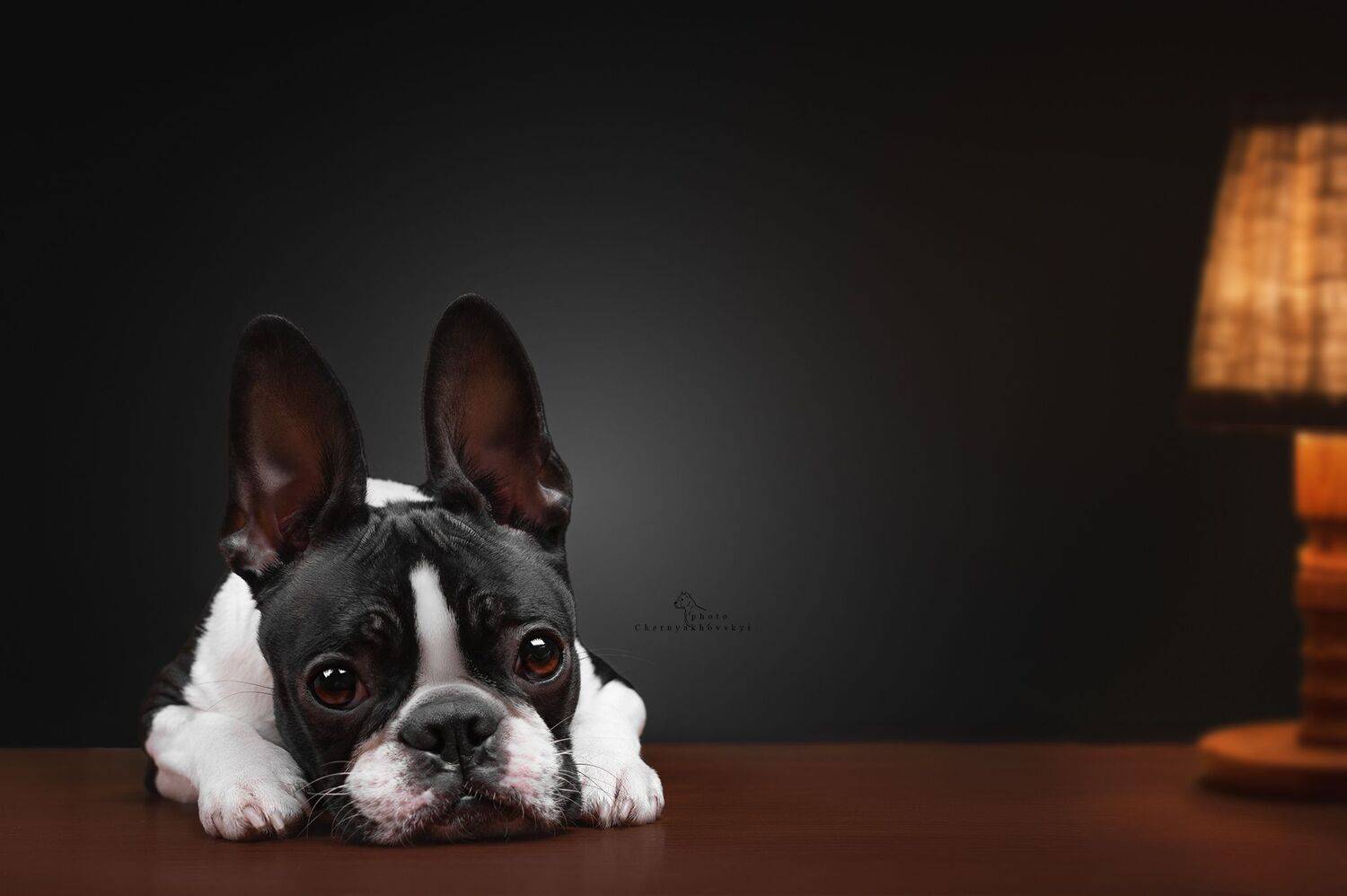 , Черняховский Виталий