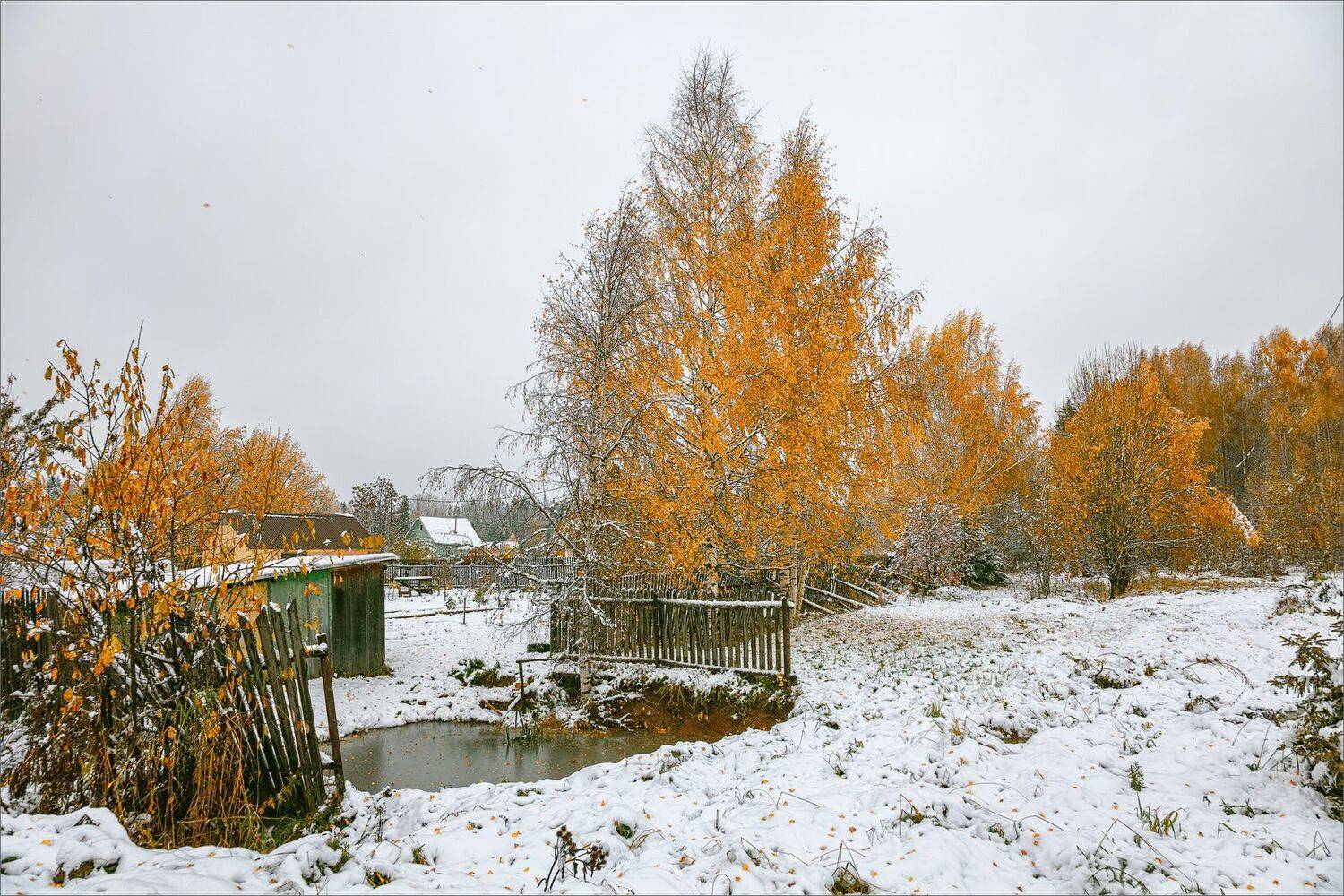 пейзаж, осень, деревня, снег, свет, цвет, александр никитинский, Никитинский Александр