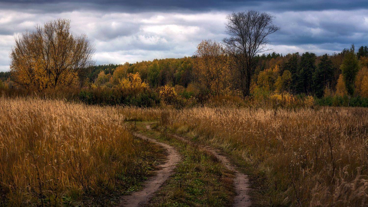 , Марат Кучкаев