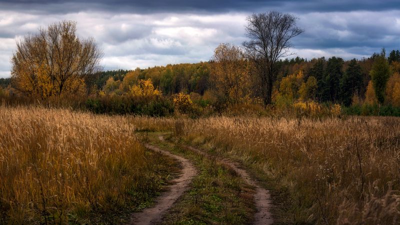 Просто - ОСЕНЬ... фото превью