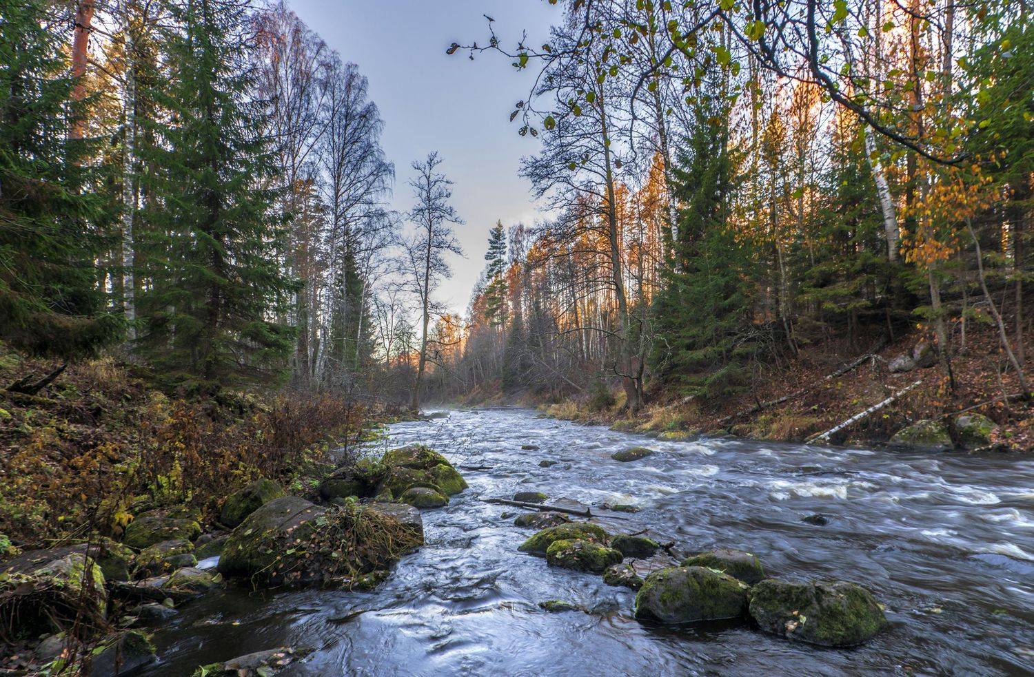 ленинградская обл,линдуловская роща,река рощинка, alexOmRam