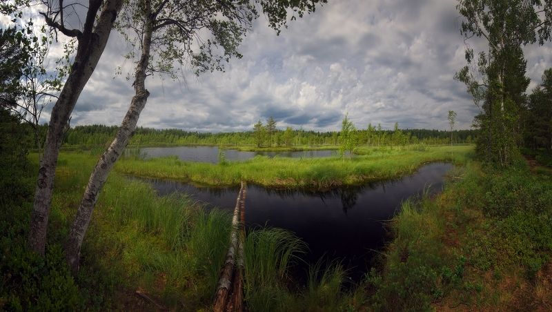 Болото фото превью